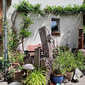 Gartenzimmer Mit Strassenbahn Zu Dom Und Messe Deutschland